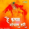 About He Krishna Gopal Hari Song